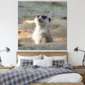 Meerkat 004 leinwanddruck (Insitu (Schlafzimmer))