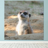 Meerkat 004 leinwanddruck (Insitu (Holzboden))