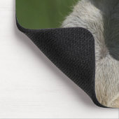 Meerkat 004 mousepad (Ecke)