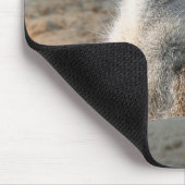 Meerkat 004 mousepad (Ecke)
