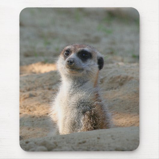 Meerkat 004 mousepad (Vorne)