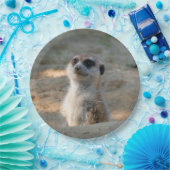 Meerkat 004 pappteller (Party)