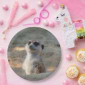 Meerkat 004 pappteller (Party)