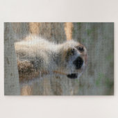 Meerkat 004 puzzle (Horizontal)