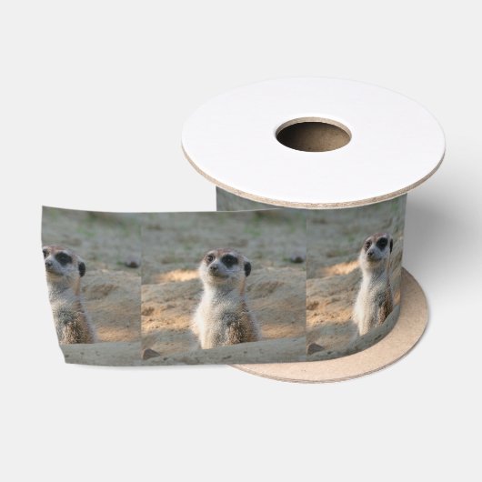 Meerkat 004 satinband (Spule)