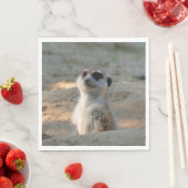 Meerkat 004 serviette (Beispiel)
