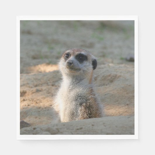 Meerkat 004 serviette (Vorderseite)