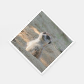 Meerkat 004 serviette (Ecke)
