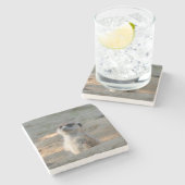 Meerkat 004 steinuntersetzer (Seitenansicht)