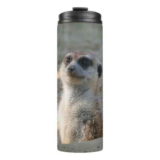 Meerkat 004 thermosbecher (Vorderseite)