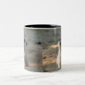 Meerkat 004 zweifarbige tasse (Mittel)