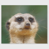 Meerkat 005 geschenkpapier (Flach)