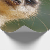 Meerkat 005 geschenkpapier (Ecke)