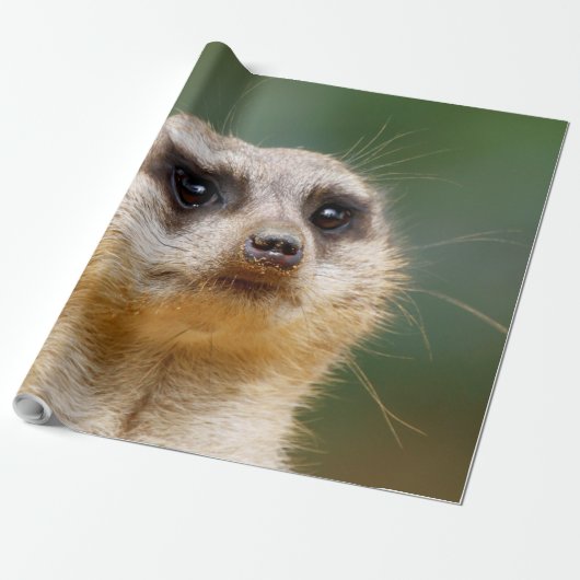 Meerkat 005 geschenkpapier (Ungerollt)