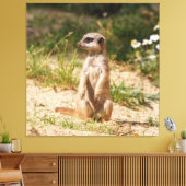 Meerkat_005 Leinwanddruck (Insitu (Wohnzimmer))
