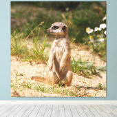 Meerkat_005 Leinwanddruck (Insitu (Holzboden))