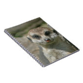 Meerkat 005 notizblock (Rechte Seite)