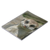 Meerkat 005 notizblock (Linke Seite)