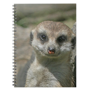 Meerkat 005 notizblock