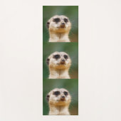 Meerkat 005 yogamatte (Vorderseite)