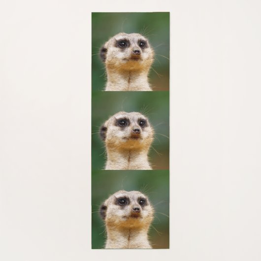 Meerkat 005 yogamatte (Rückseite)