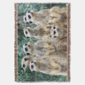 Meerkat 006 decke (Vorderseite Vertikal)