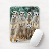 Meerkat 006 mousepad (Mit Mouse)