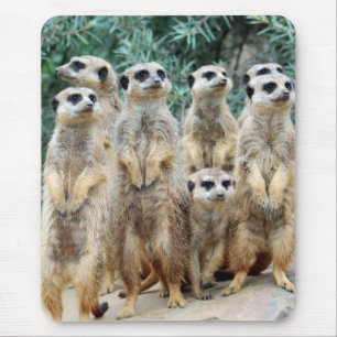 Meerkat 006 mousepad