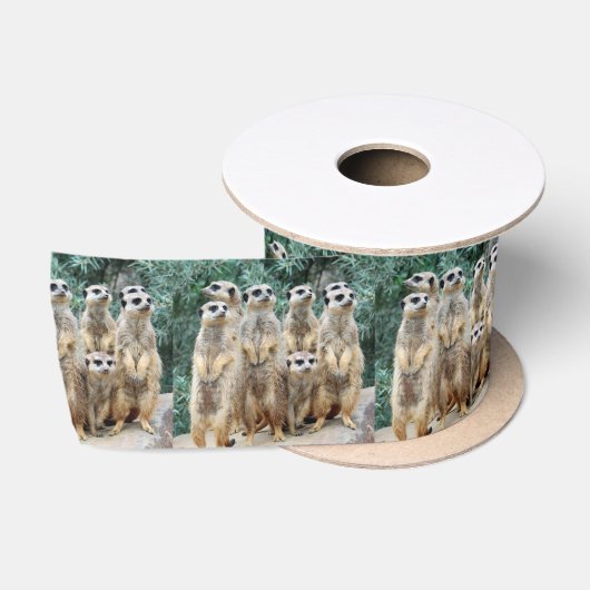 Meerkat 006 satinband (Spule)