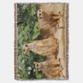 Meerkat 008 decke (Vorderseite Vertikal)