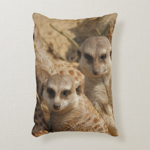 Meerkat_008 Dekokissen
