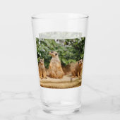 Meerkat 008 glas (Rückseite)