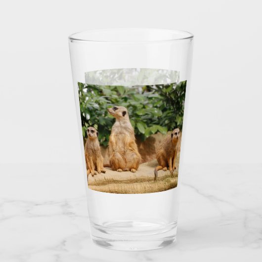 Meerkat 008 glas (Vorderseite)