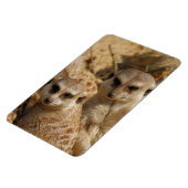 Meerkat_008 Magnet (Linke Seite)
