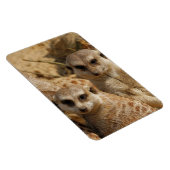 Meerkat_008 Magnet (Rechte Seite)