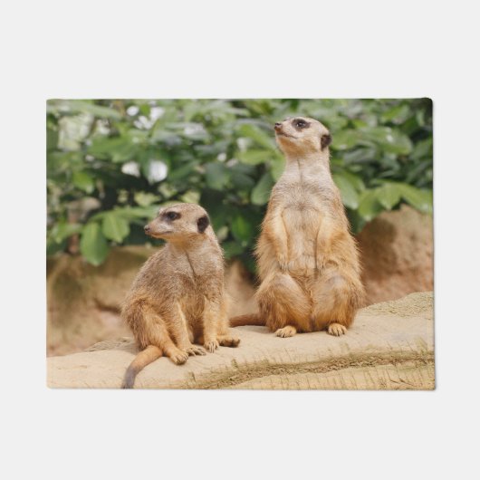 Meerkat 009 fußmatte (Vorderseite)