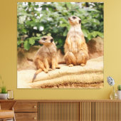Meerkat 009 leinwanddruck (Insitu (Wohnzimmer))