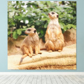 Meerkat 009 leinwanddruck (Insitu (Holzboden))
