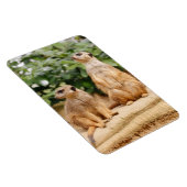 Meerkat 009 magnet (Rechte Seite)