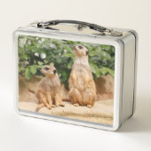 Meerkat 009 metall brotdose (Rückseite)