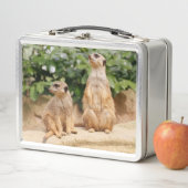 Meerkat 009 metall brotdose (Beispiel)