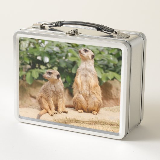 Meerkat 009 metall brotdose (Vorderseite)