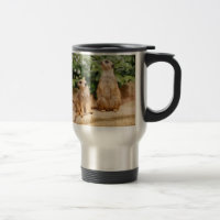 Meerkat 009