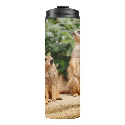 Meerkat 009 thermosbecher (Vorderseite)