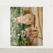 Meerkat 009 wandteppich (Vorderseite)