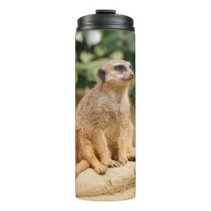 Meerkat 010 thermosbecher