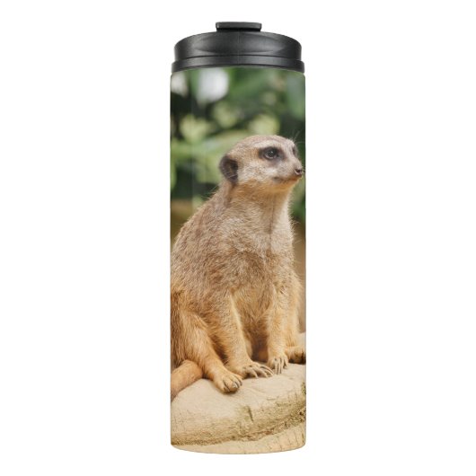 Meerkat 010 thermosbecher (Vorderseite)