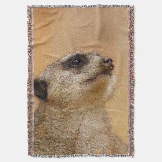 Meerkat 011 decke (Vorderseite Vertikal)