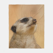 Meerkat 011 fleecedecke (Vorderseite)