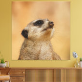 Meerkat 011 leinwanddruck (Insitu (Wohnzimmer))